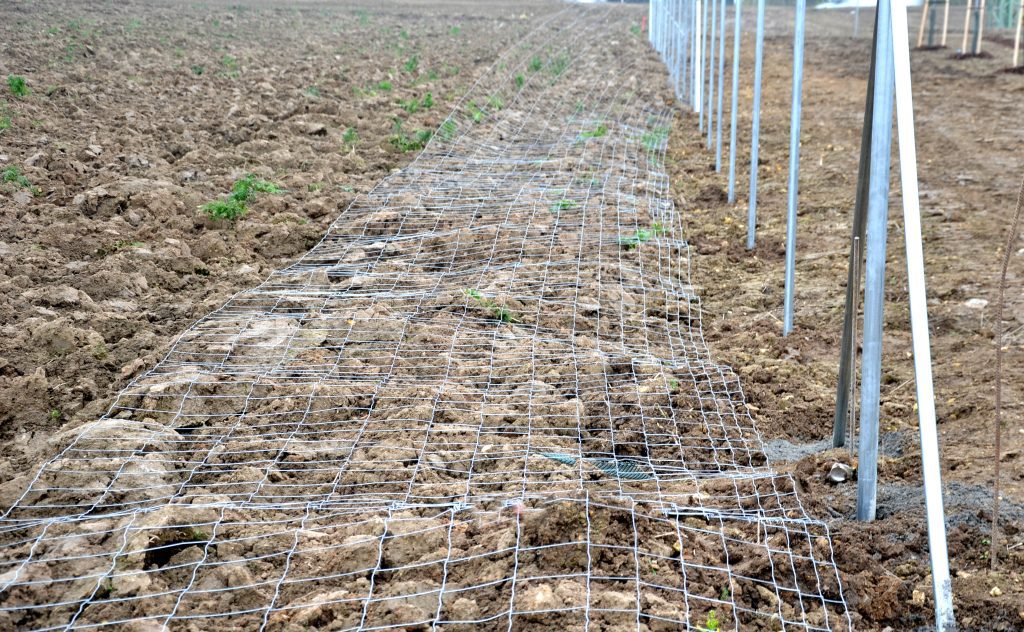 vadháló telepítése