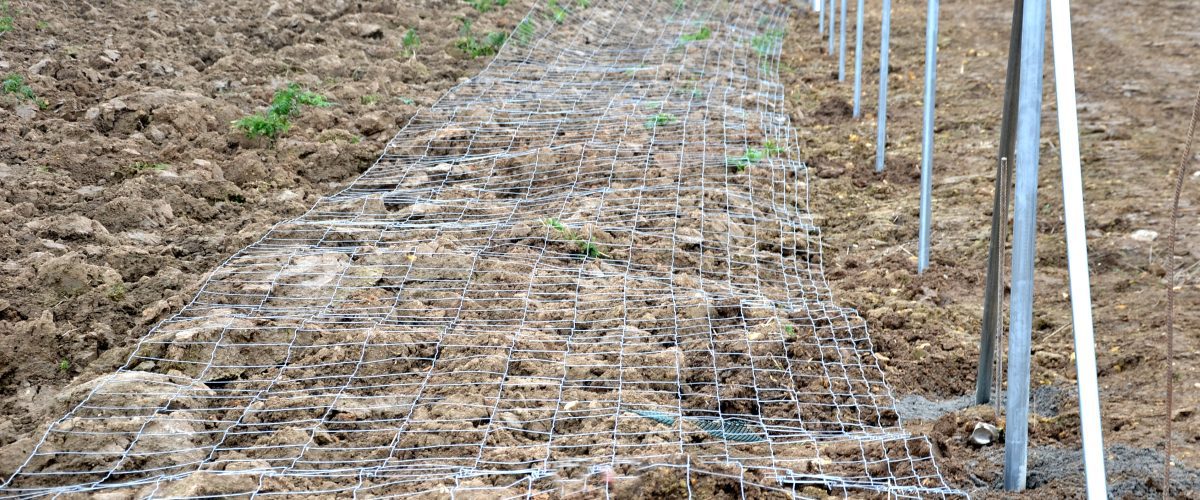 vadháló telepítése